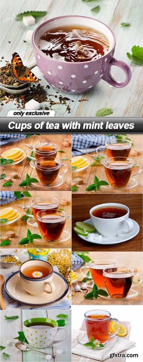 Cups of tea with mint leaves - 9 UHQ JPEG