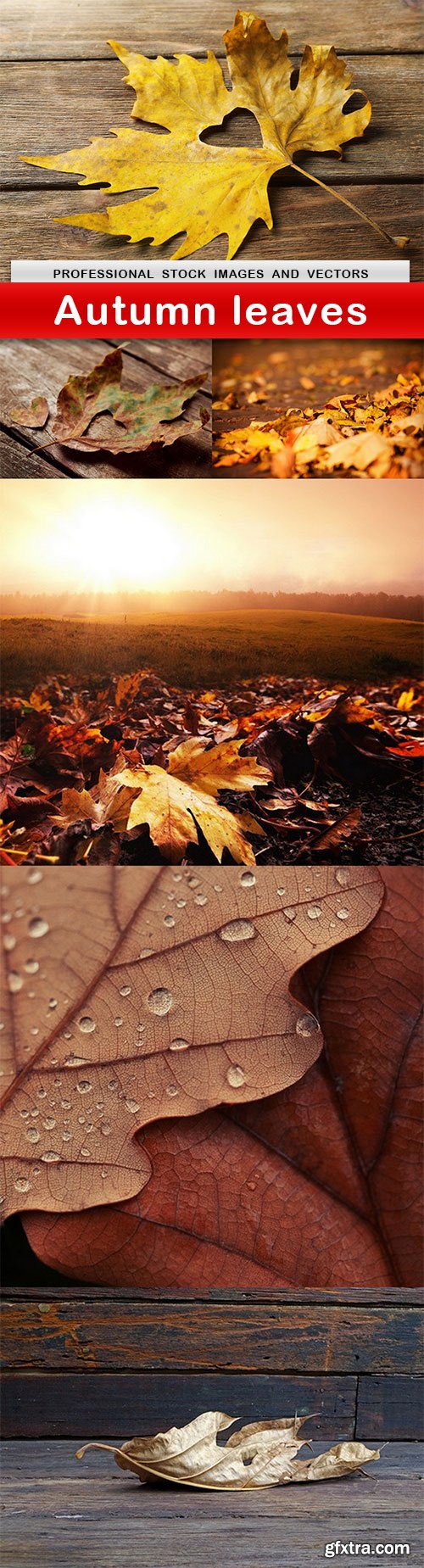 Autumn leaves - 6 UHQ JPEG