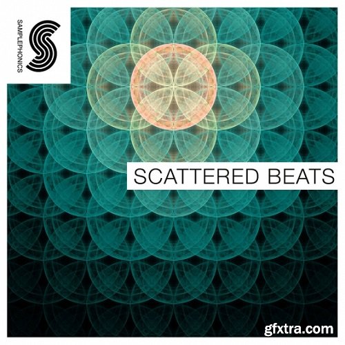 Samplephonics Scattered Beats MULTiFORMAT-FANTASTiC