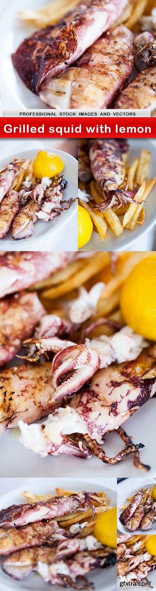 Grilled squid with lemon - 7 UHQ JPEG