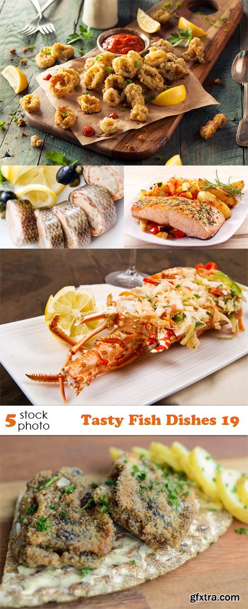 Photos - Tasty Fish Dishes 19