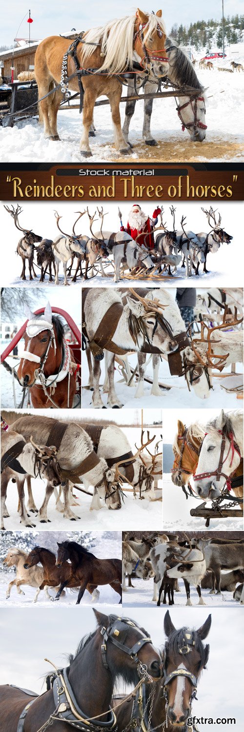 Reindeers and Three of horses