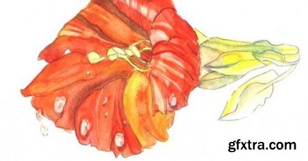 Watercolour Painting - How to paint Flowers
