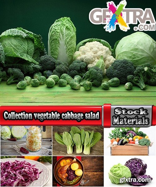 Collection vegetable cabbage salad 25 HQ Jpeg