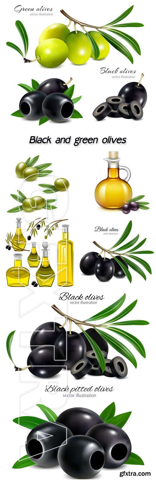 Black and green olives in a vector