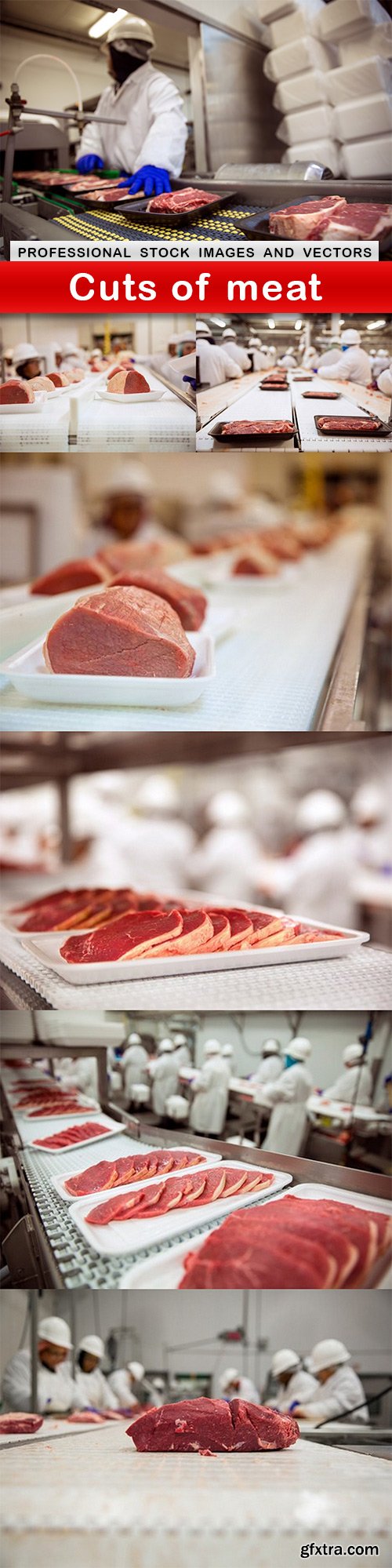 Cuts of meat - 7 UHQ JPEG