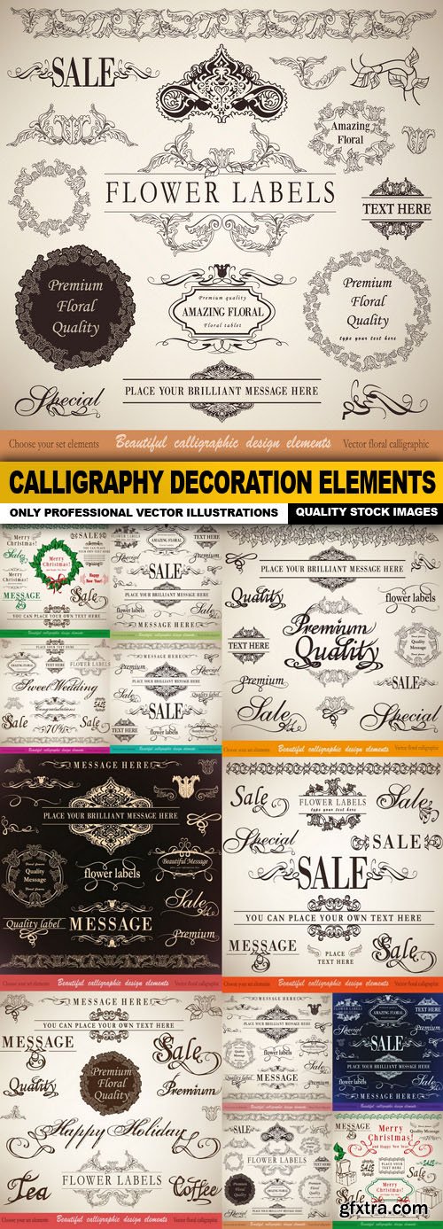 Calligraphy Decoration Elements - 12 Vector