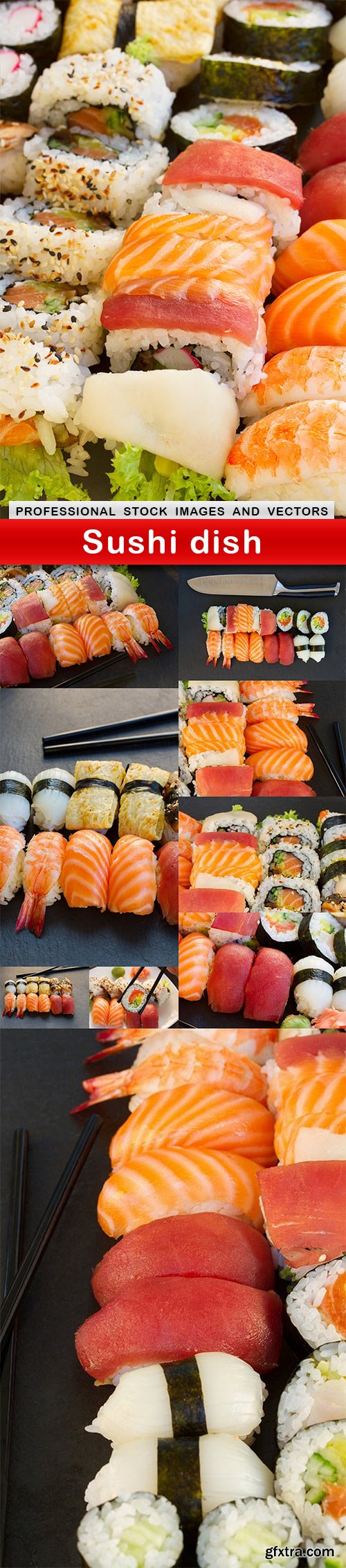 Sushi dish - 10 UHQ JPEG