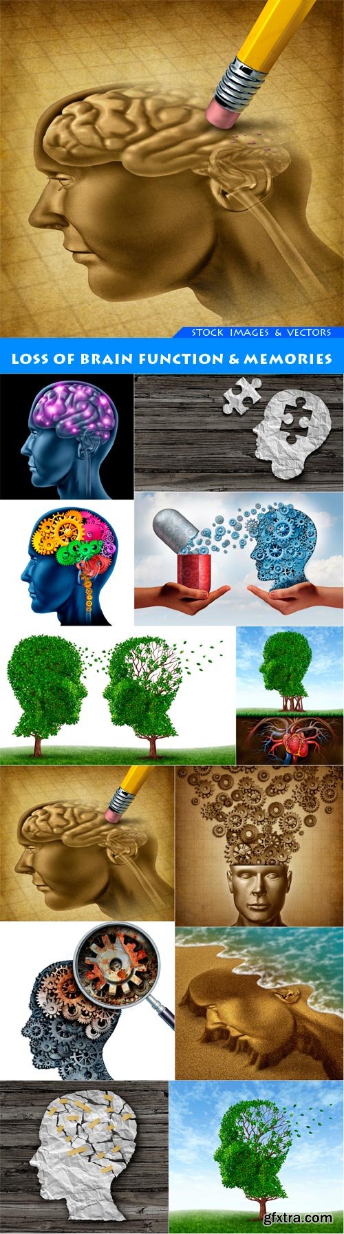 Loss of brain function & memories 12X JPEG