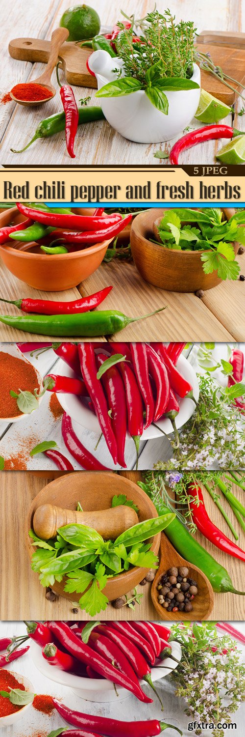 Red Chili Pepper & Fresh Herbs 5xJPG
