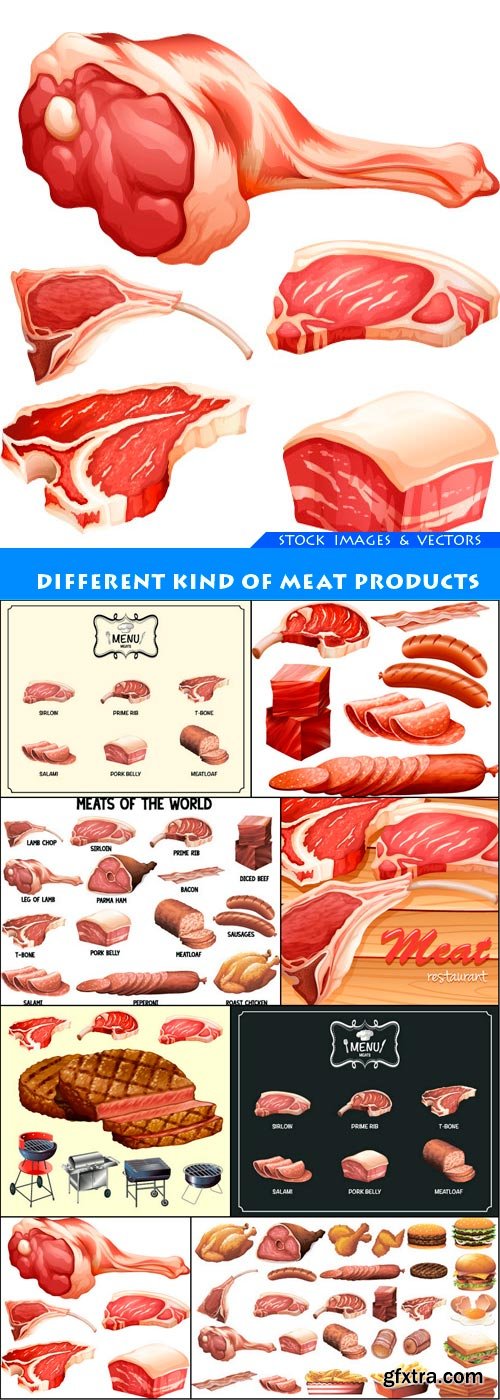 Different kind of meat products 8X EPS