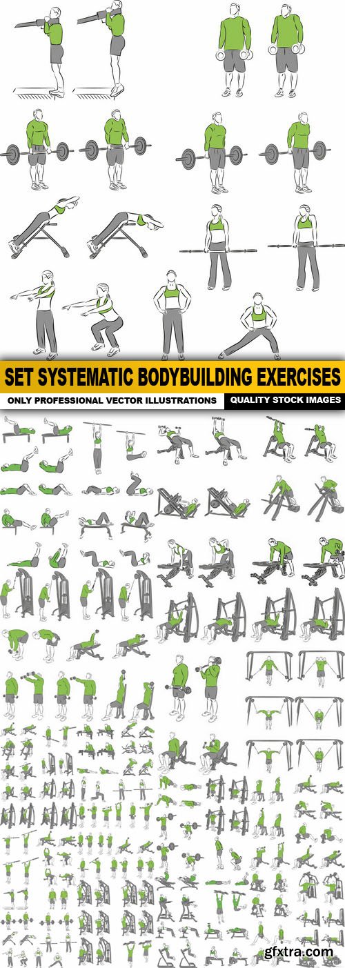 Set Systematic Bodybuilding Exercises - 17 Vector