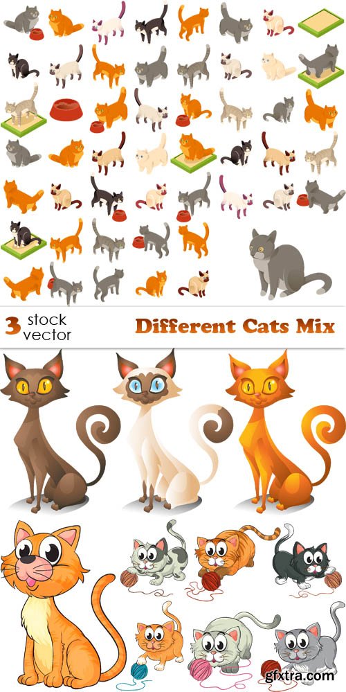 Vectors - Different Cats Mix