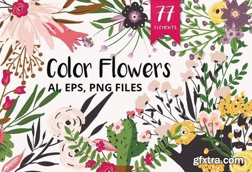 CM - Color Flowers 365946