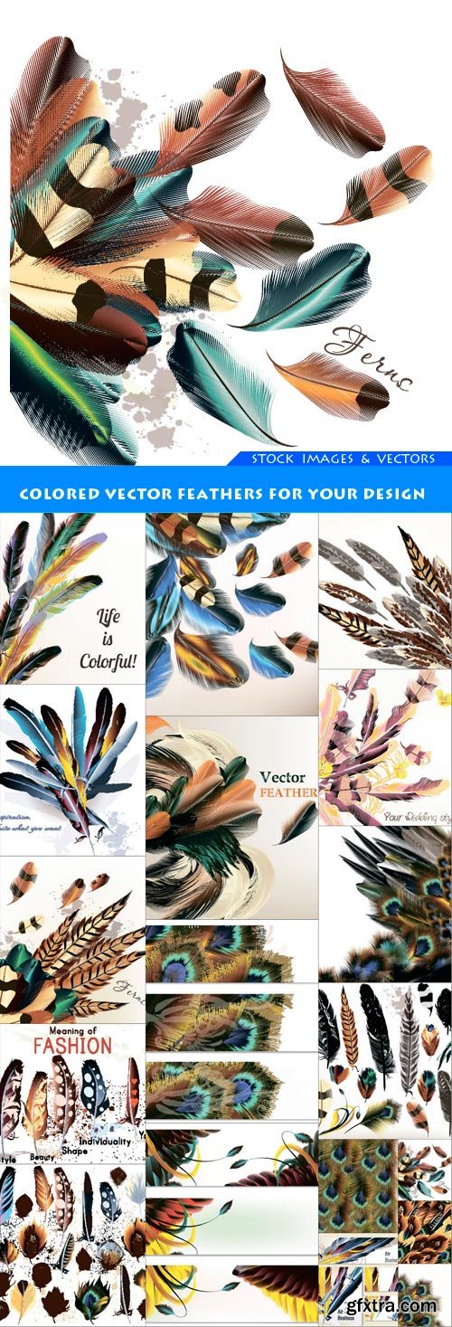 Colored vector feathers for your design 18X EPS