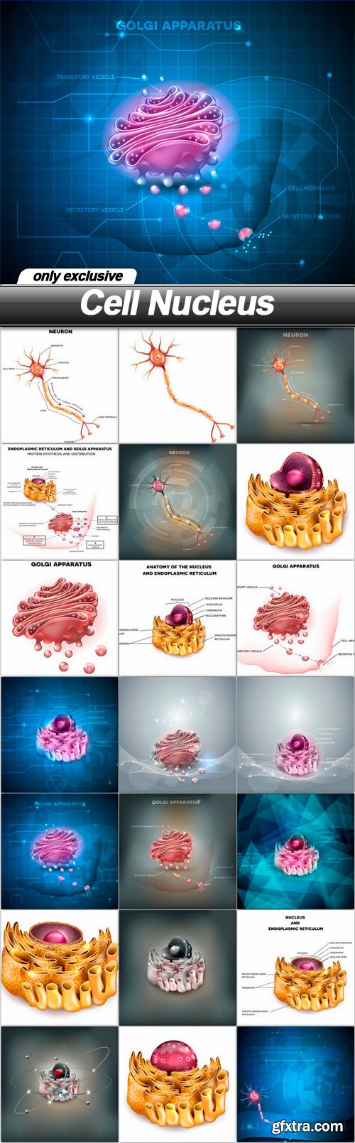 Cell Nucleus - 21 EPS