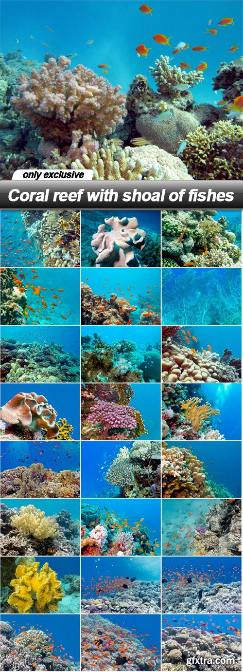 Coral reef with shoal of fishes - 25 UHQ JPEG
