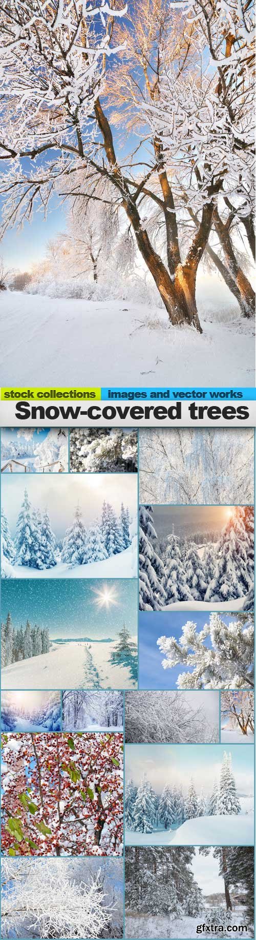 Snow-covered trees, 15 x UHQ JPEG