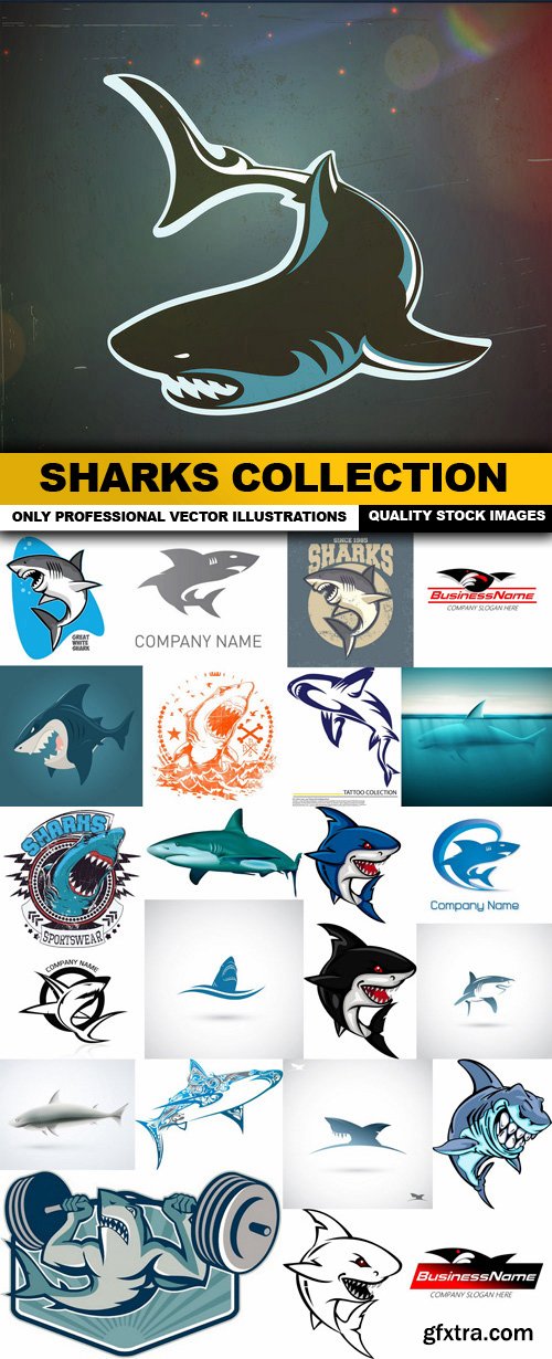 Sharks Collection - 25 Vector