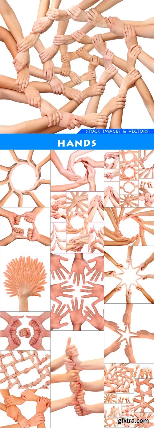 Hands 20X JPEG