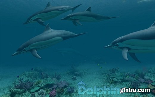 Dolphins 3D v1.1.0 (Mac OS X)