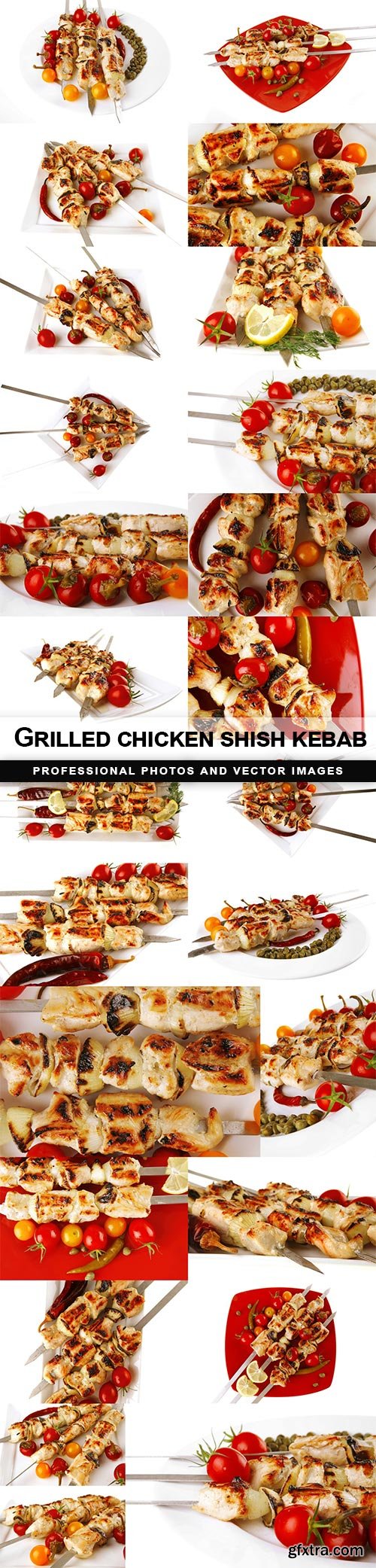 Grilled chicken shish kebab