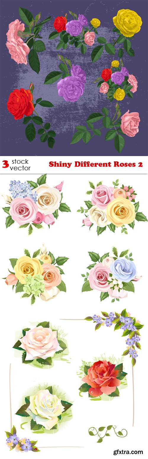 Vectors - Shiny Different Roses 2