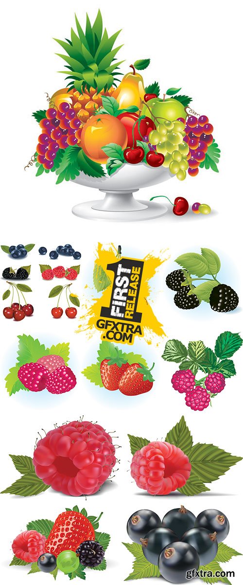 Stock The big collection of berries in a vector