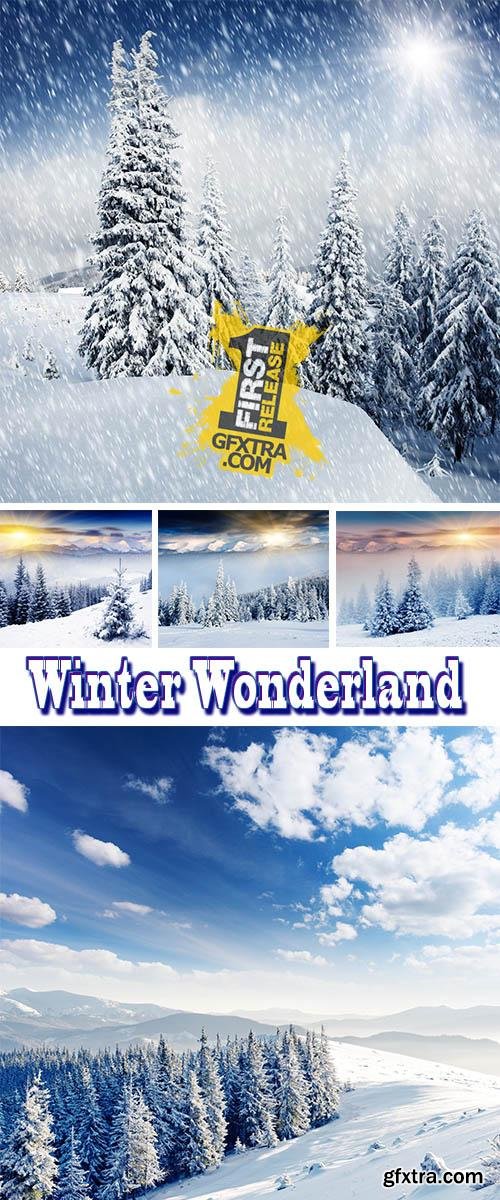 Stock Photo: Winter Wonderland