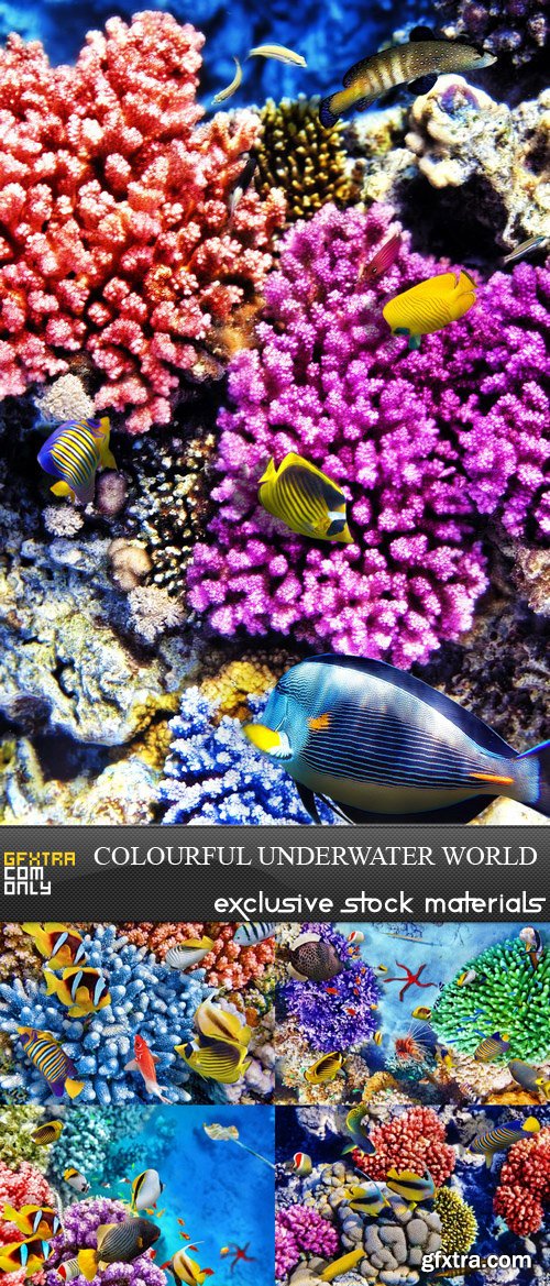 Colourful Underwater World - 5 UHQ JPEG