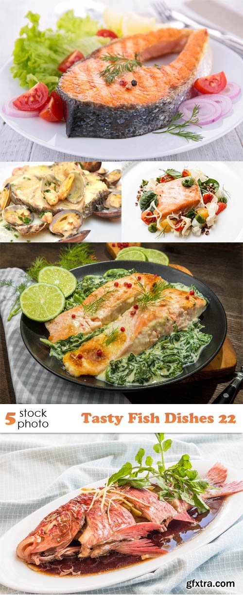 Photos - Tasty Fish Dishes 22