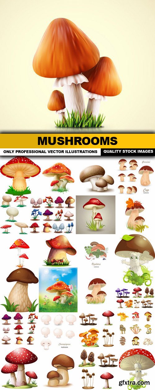 Mushrooms - 25 Vector