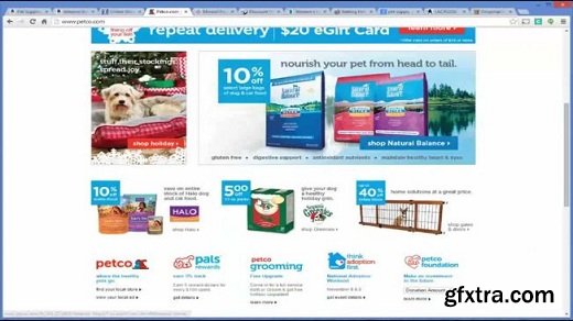 Wordpress ECommerce Dropshipping business Online Store