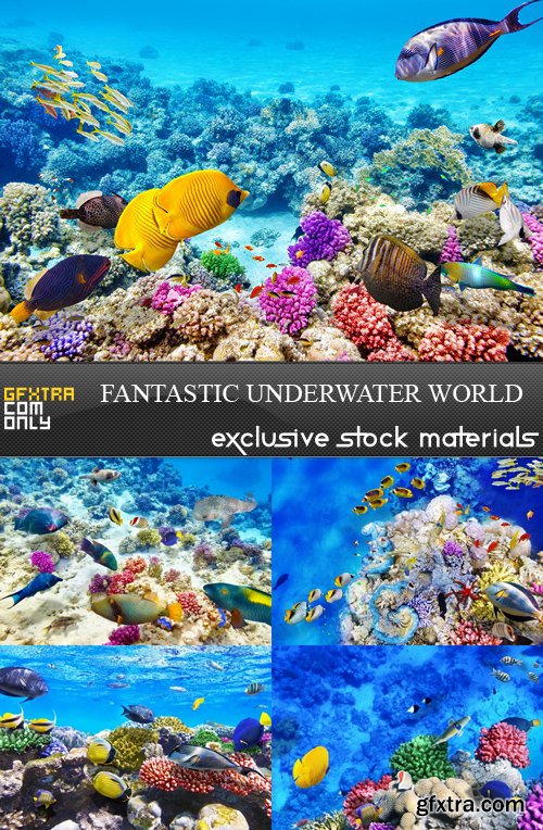 Fantastic Underwater World - 5 UHQ JPEG
