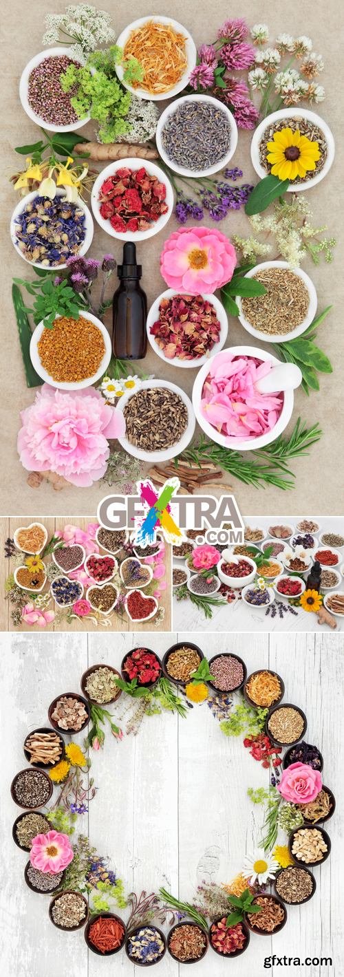 Stock Photo - Spices & flowers