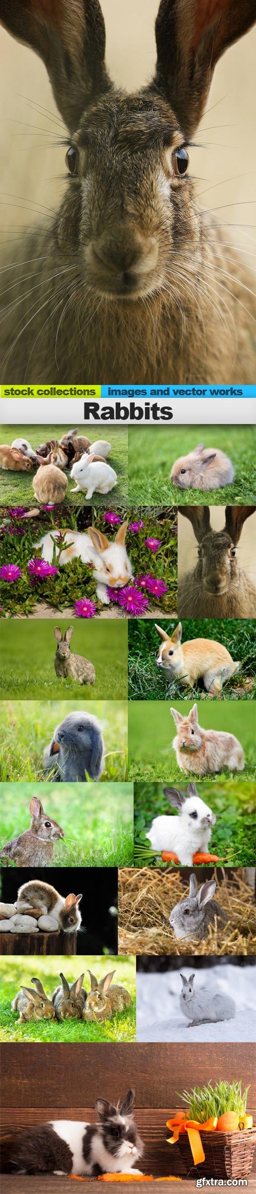 Rabbits, 15 x UHQ JPEG