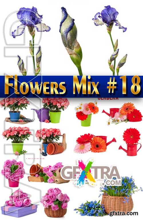 Flowers Mix #18 - Stock Photo