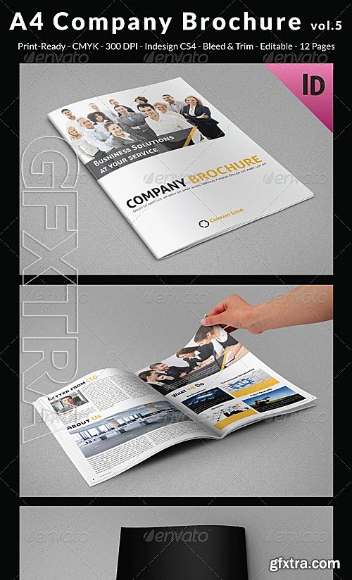 GraphicRiver - A4 Company Brochure vol5 7243484
