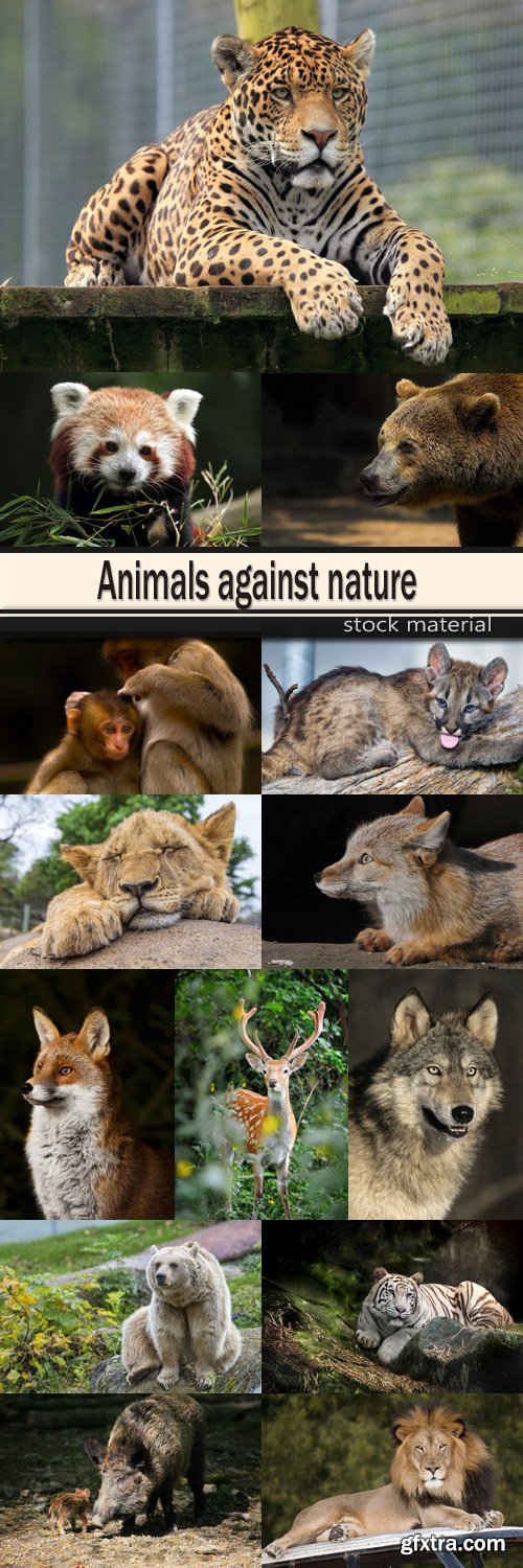 Animals against nature