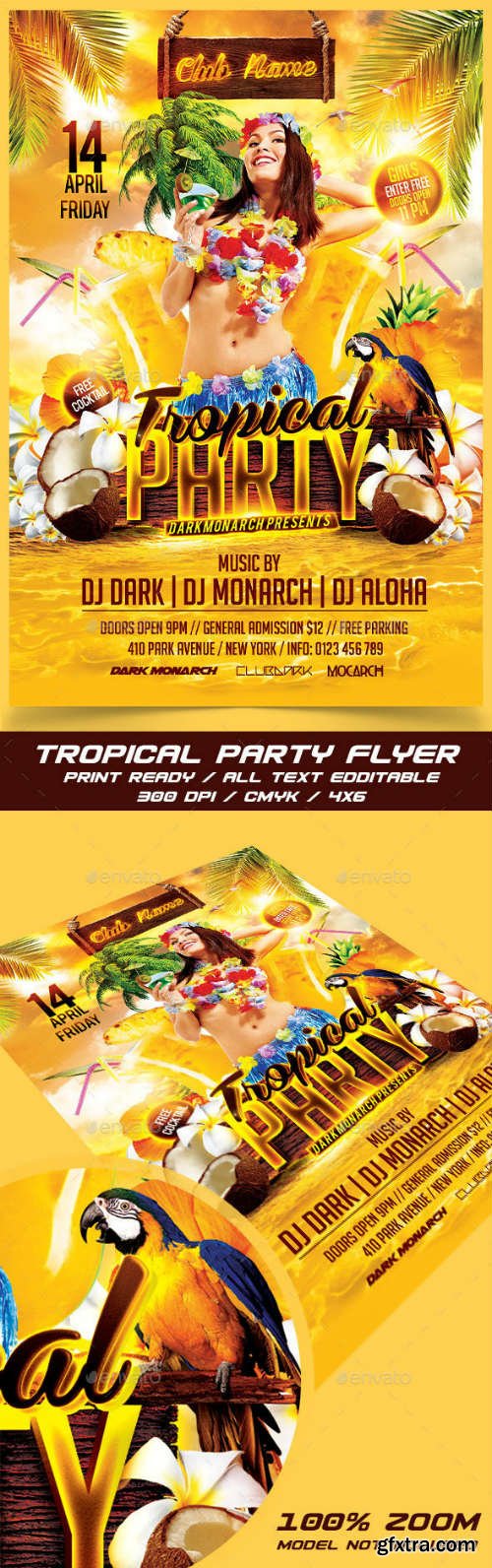 GR - Tropical Party 14631878