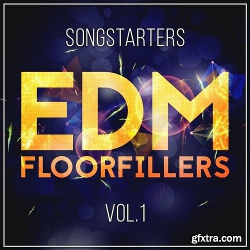 Mainroom Warehouse EDM Floorfillers Songstarters Vol 1 WAV MiDi-DISCOVER