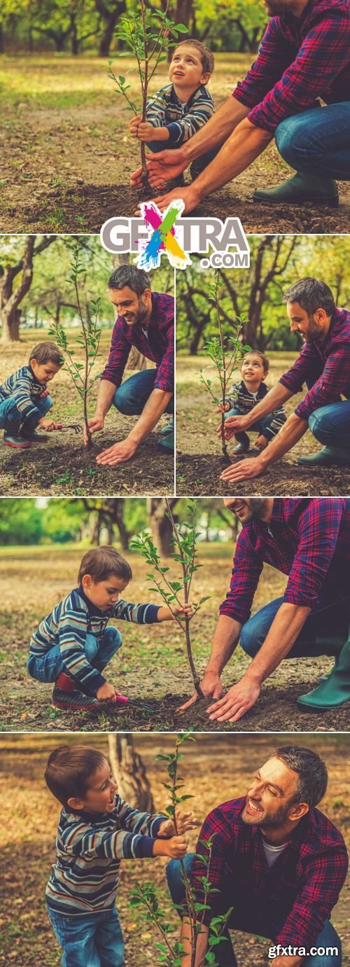 Stock Photo - Father & Son Gardening