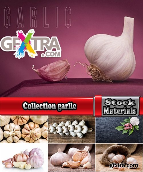 Collection garlic dish with garlic 25 HQ Jpeg
