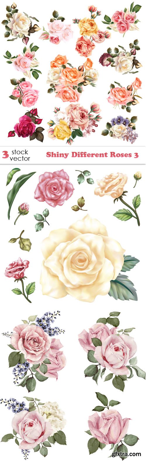 Vectors - Shiny Different Roses 3