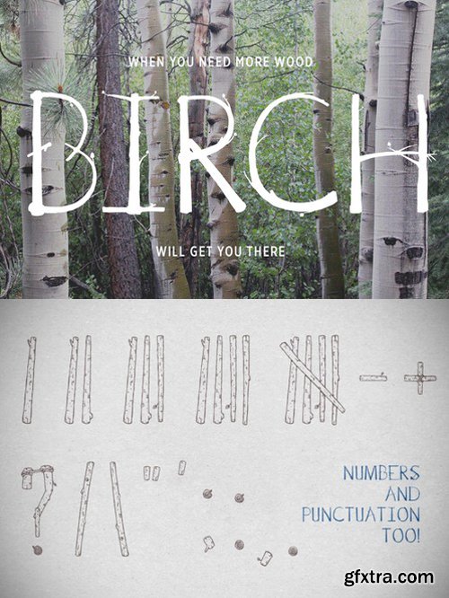 CM - Birch Is Right Here - Fill 522324