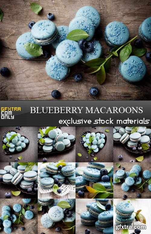 Blueberry Macaroons - 12 UHQ JPEG