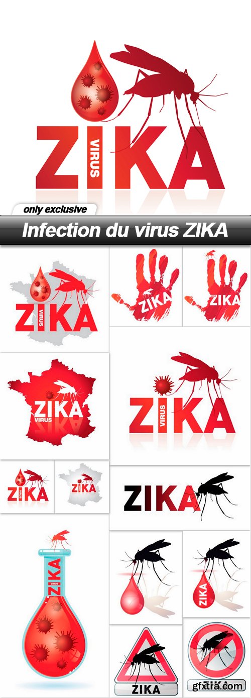 Infection du virus ZIKA - 13 EPS