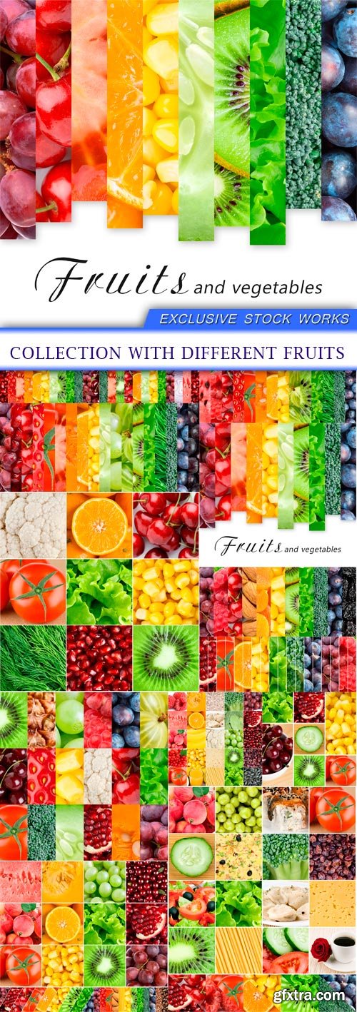 Collection with different fruits 16X JPEG