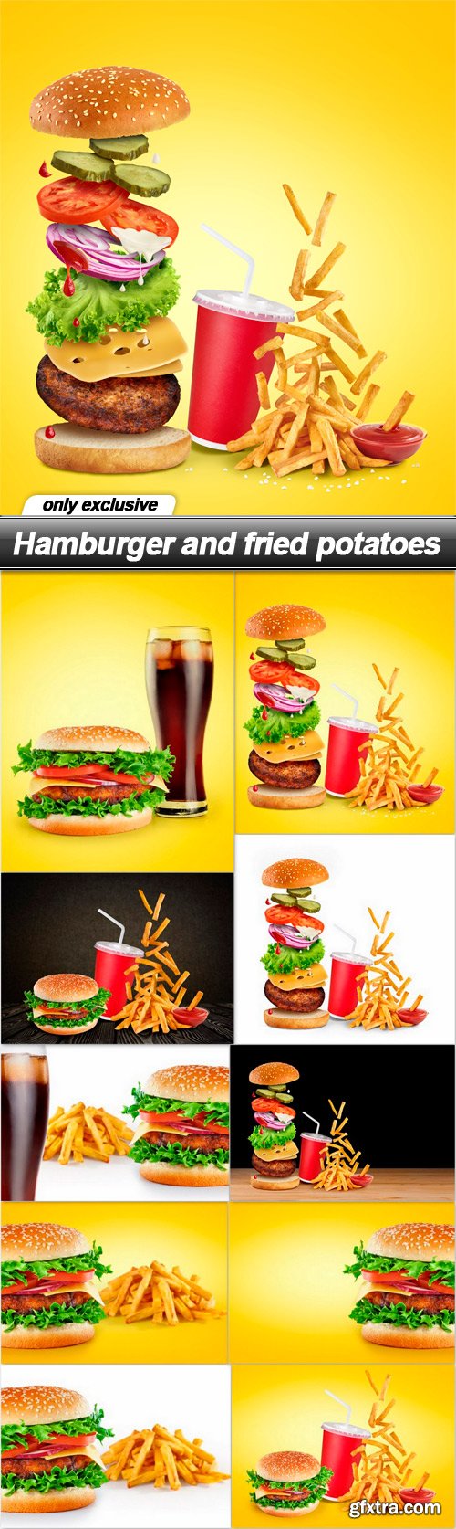 Hamburger and fried potatoes - 10 UHQ JPEG