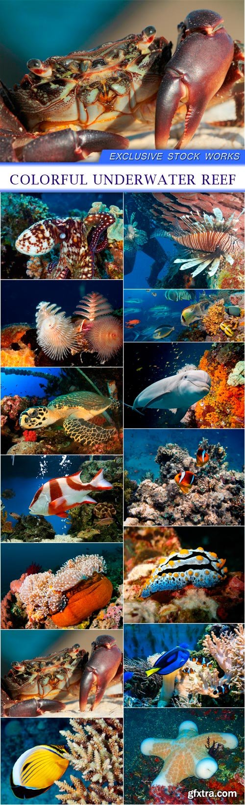 Colorful underwater reef 14X JPEG